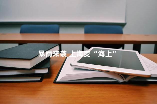 暴雨来袭 上海变“海上”